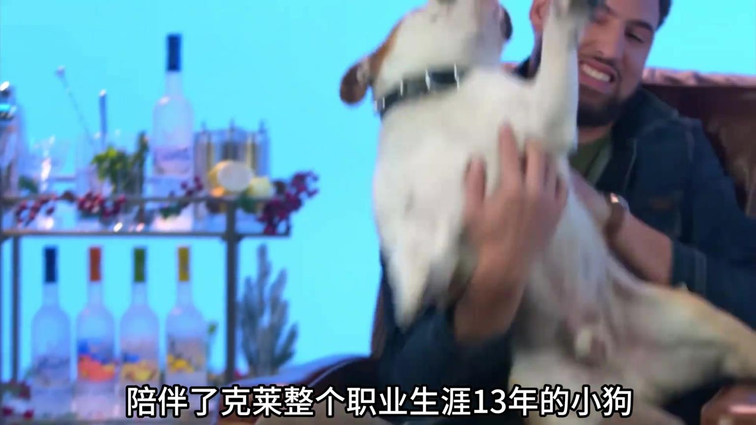 陪伴克萊13年的小狗去世了，不敢相信克萊得多么傷心